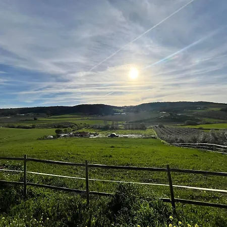 Rural Acinipo Willa *